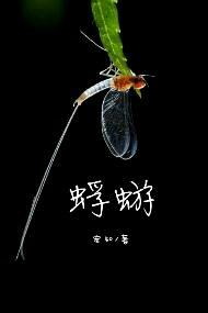 蜉蝣一日
