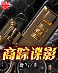 商踪谍影全文阅读