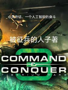 如何评价心灵终结里的中国