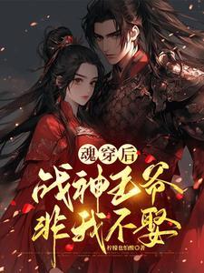 战神夫人a爆了