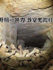 开局一吨力莽穿鬼吹灯 闫二少