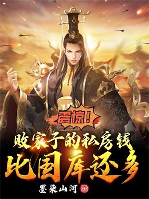 败家子的私房钱比国库还多