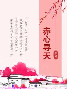 赤心寻天有声