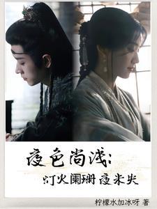 灯火阑珊的夜色什么意思